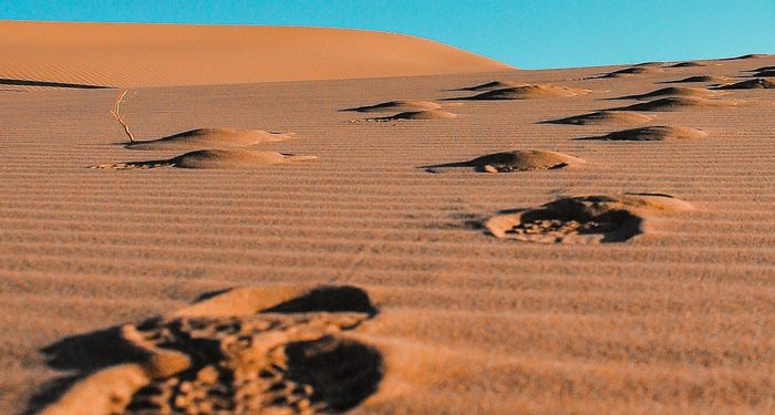 115-Year-Old Human Footprints Found In the Nefud Desert of Saudi Arabia