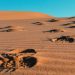 115-Year-Old Human Footprints Found In the Nefud Desert of Saudi Arabia