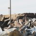 Building Collapse in India – 10 Killed and 25 Trapped – PM Offers Condolence