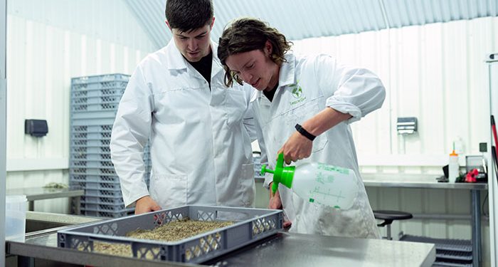 Scientists Create Genetically-Modified Livestock As “Surrogate Sires” To Enhance Food Production