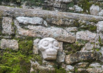 9,000-Year-Old Burial Site of a Female Hunter Suggests Our Female Ancestors Hunted Big Game