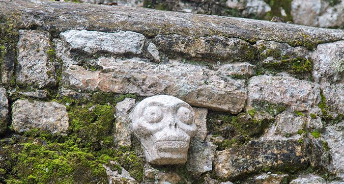 9,000-Year-Old Burial Site of a Female Hunter Suggests Our Female Ancestors Hunted Big Game