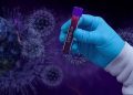 New Strain of Coronavirus Discovered in Danish Mink Farms is not New, Expert Says