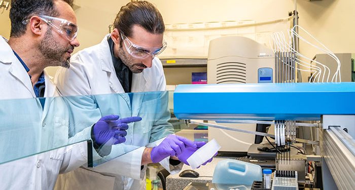 Scientists Finally Get Hold of the Ram Horn Squid in Its Natural Habitat in Rare Footage