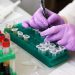 Trump Administration Promises Equitable Distribution of New COVID-19 Antibody Drug