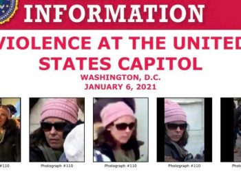 Pink Hat Lady from the Capitol Riots, Rachel Powell, Officially Charged by the FBI